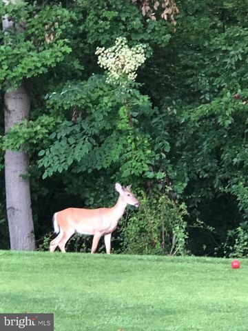 2568 FOREST KNL, Annapolis, MD 21401