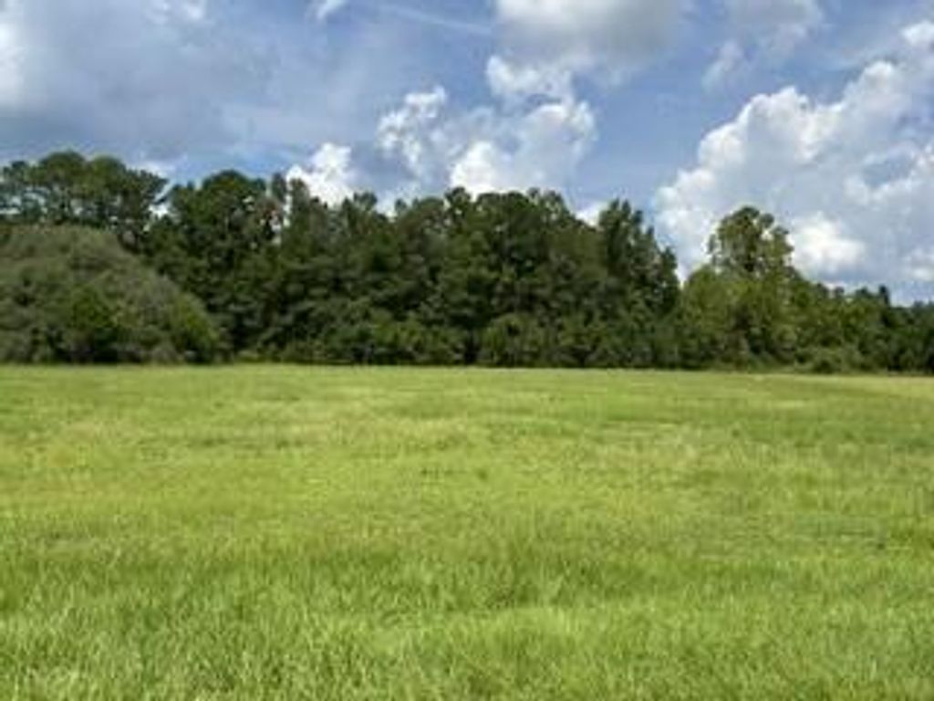 Image 1 of property listing at 0 Starline Drive, Summerville, SC 29486