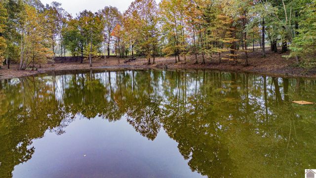 98 Sanderson Road, Mayfield, KY 42066