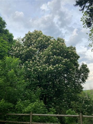 3931 Saint Paul Boulevard, Irondequoit, NY 14617