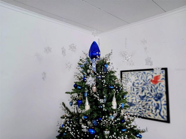 103 ROYAL PALM DRIVE, Leesburg, FL 34748