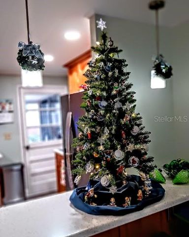 103 ROYAL PALM DRIVE, Leesburg, FL 34748