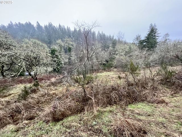 4665 CROISAN CREEK Rd, Salem, OR 97302