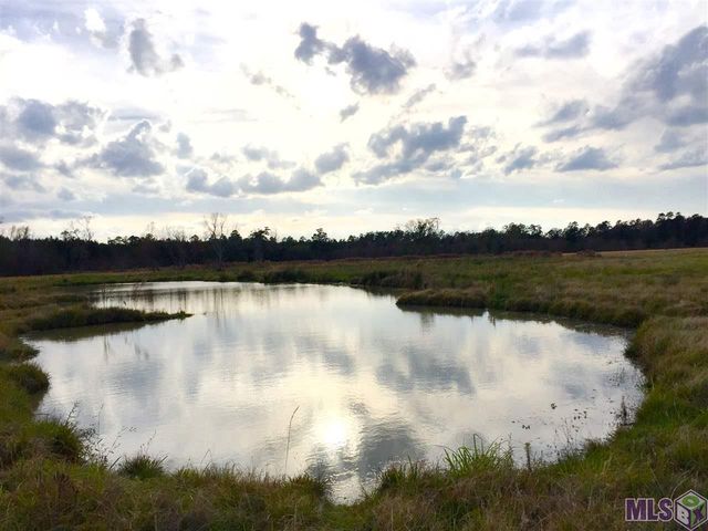 17530 Stoney Point Burch Rd, Pride, LA 70770