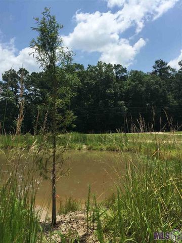 17530 Stoney Point Burch Rd, Pride, LA 70770