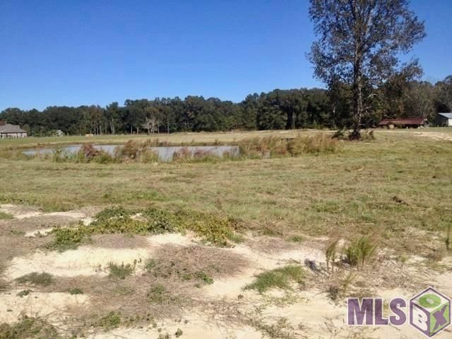 17530 Stoney Point Burch Rd, Pride, LA 70770