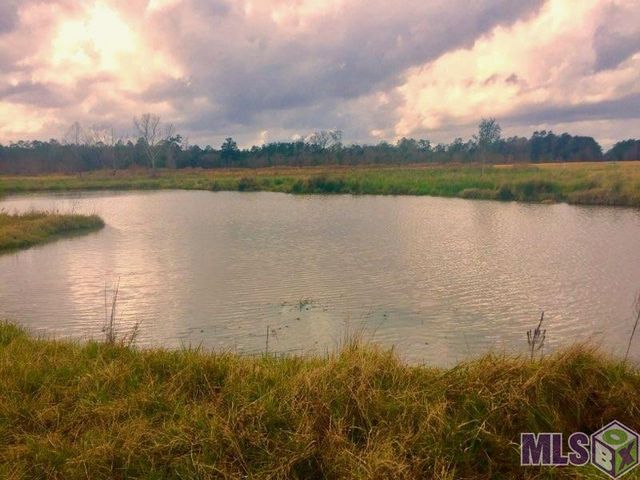 17530 Stoney Point Burch Rd, Pride, LA 70770