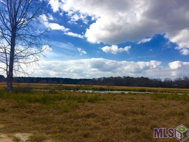 17530 Stoney Point Burch Rd, Pride, LA 70770