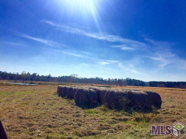 17530 Stoney Point Burch Rd, Pride, LA 70770