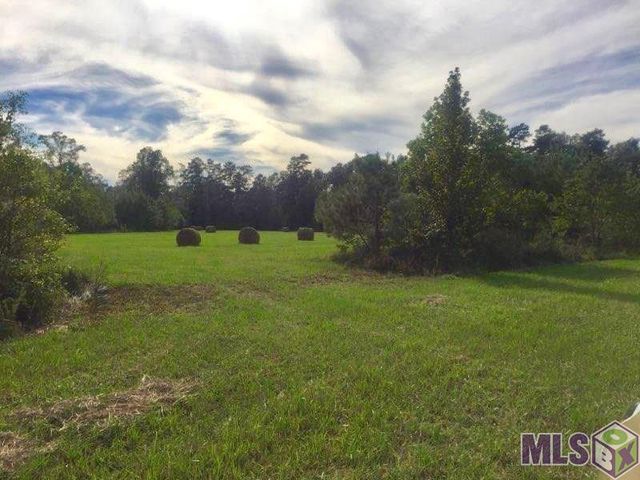 17530 Stoney Point Burch Rd, Pride, LA 70770