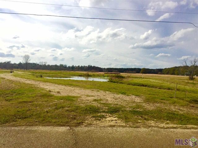 17530 Stoney Point Burch Rd, Pride, LA 70770