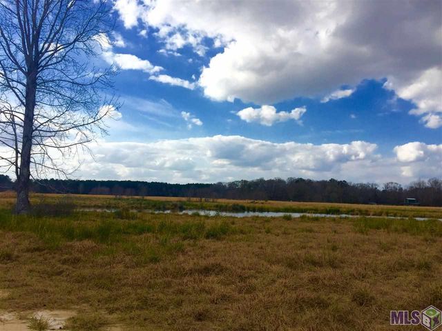 17530 Stoney Point Burch Rd, Pride, LA 70770