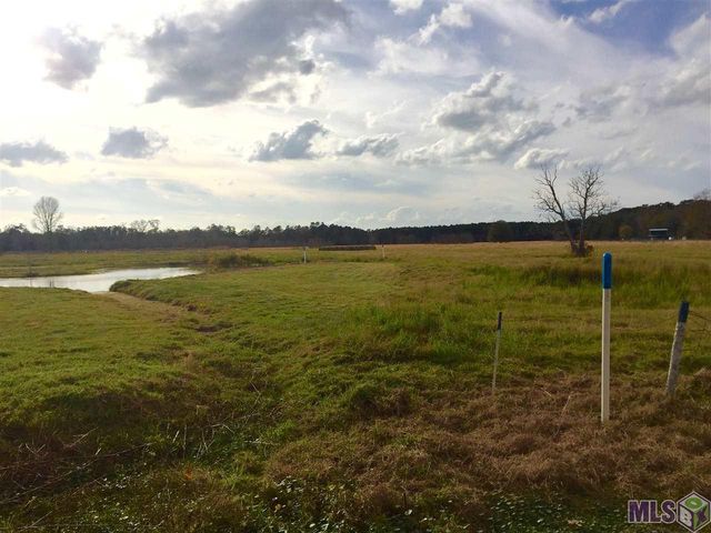 17530 Stoney Point Burch Rd, Pride, LA 70770