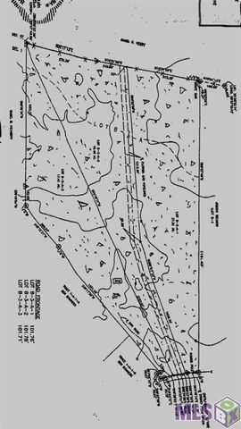 17530 Stoney Point Burch Rd, Pride, LA 70770