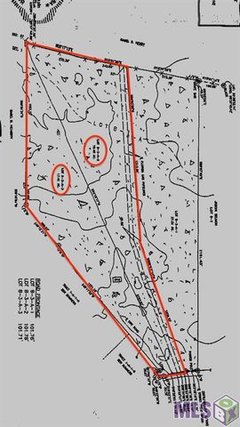 17530 Stoney Point Burch Rd, Pride, LA 70770