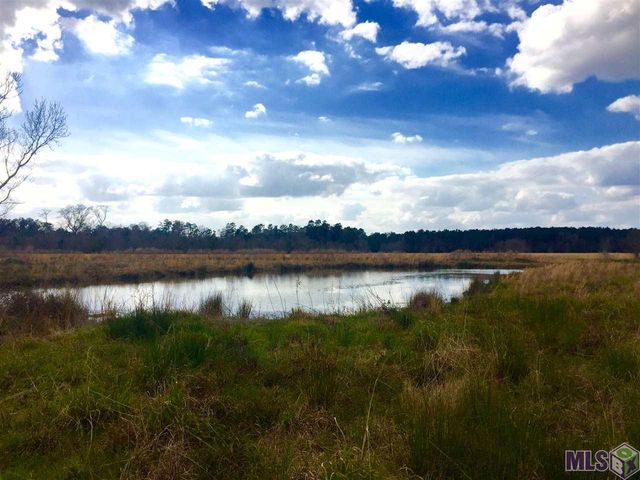 17530 Stoney Point Burch Rd, Pride, LA 70770