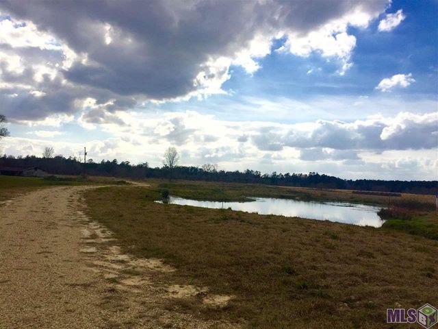 17530 Stoney Point Burch Rd, Pride, LA 70770