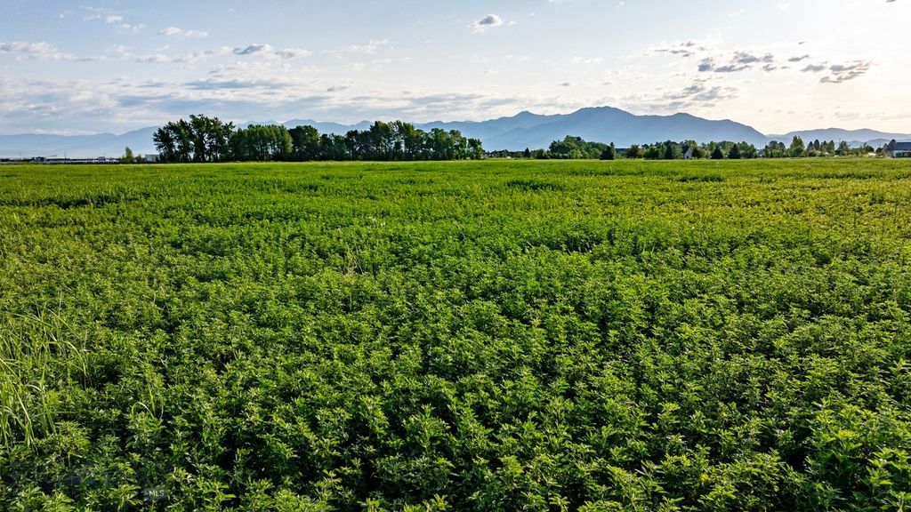 3849 Staffanson Road, Bozeman, MT 59718 photo 13