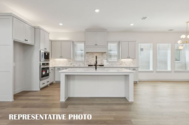 1233 Beebalm Mews, Celina, TX 75009