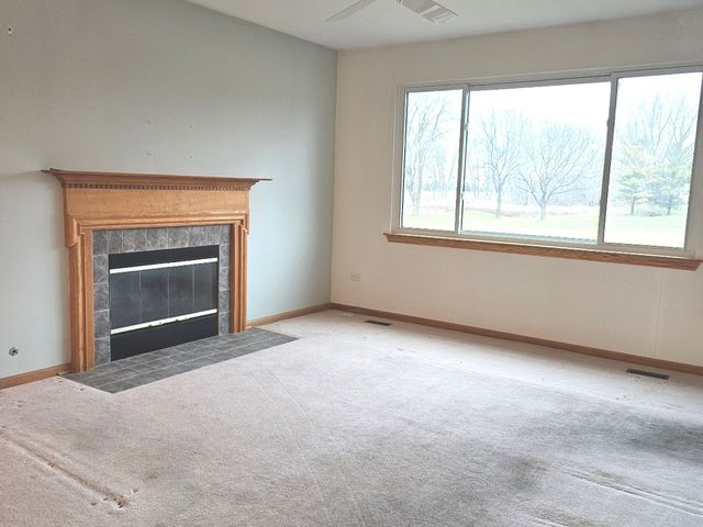 21320 W Douglas Lane, Plainfield, IL 60544