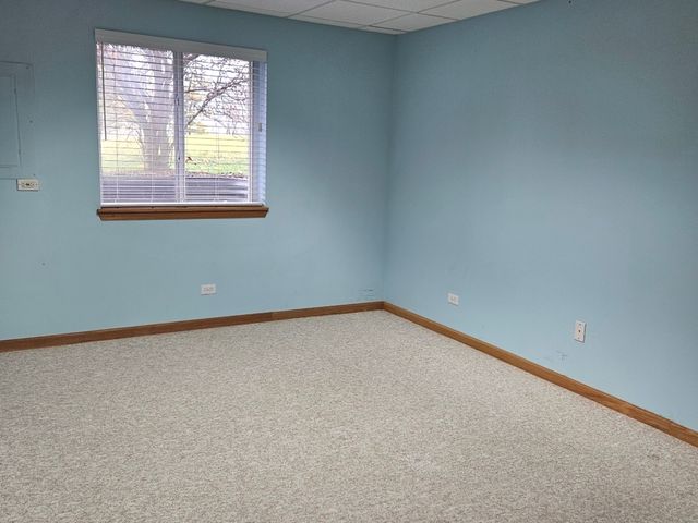 21320 W Douglas Lane, Plainfield, IL 60544