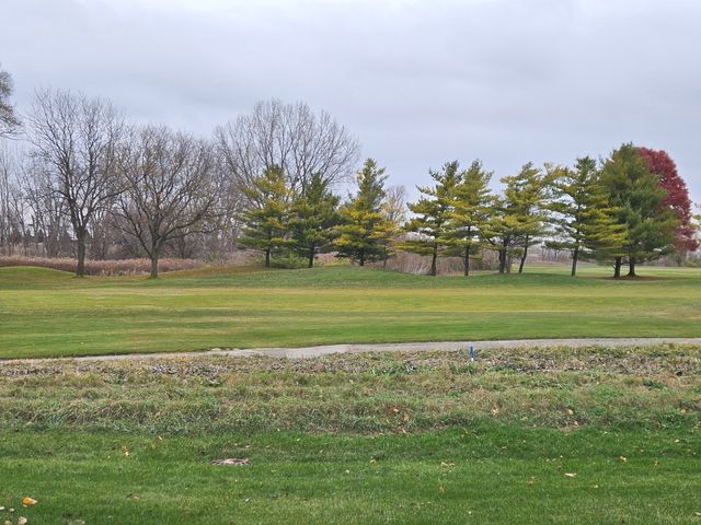 21320 W Douglas Lane, Plainfield, IL 60544