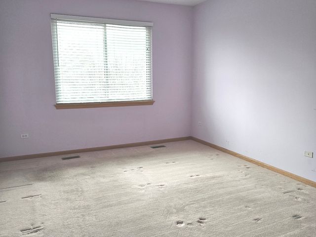 21320 W Douglas Lane, Plainfield, IL 60544