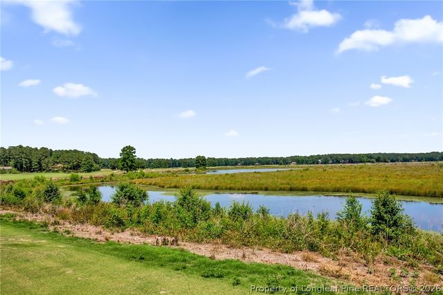 691 Bald Eagle Drive, Vass, NC 28394