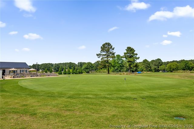 691 Bald Eagle Drive, Vass, NC 28394
