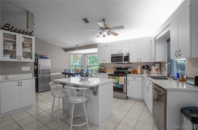 3943 W Fieldwood Court, Lecanto, FL 34461