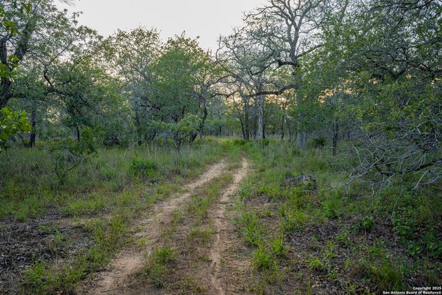 3489 County Road 331, Floresville, TX 78114