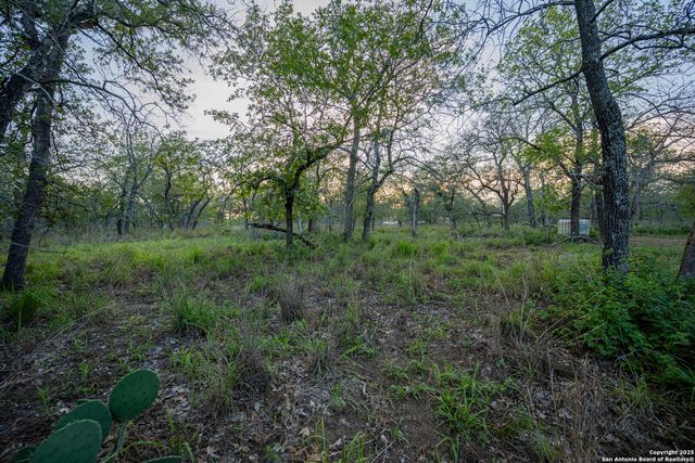 3489 County Road 331, Floresville, TX 78114