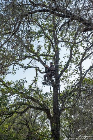 3489 County Road 331, Floresville, TX 78114