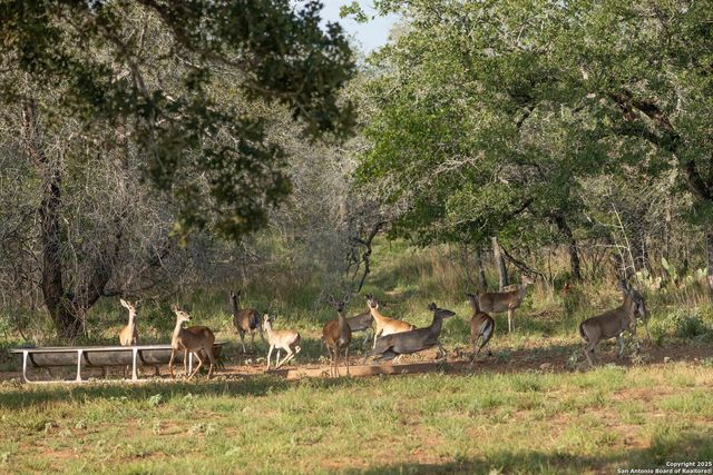 3489 County Road 331, Floresville, TX 78114