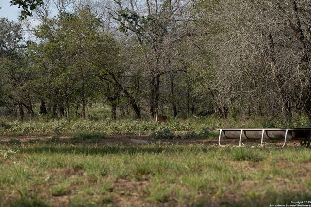 3489 County Road 331, Floresville, TX 78114
