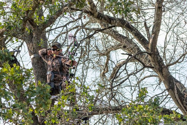 3489 County Road 331, Floresville, TX 78114