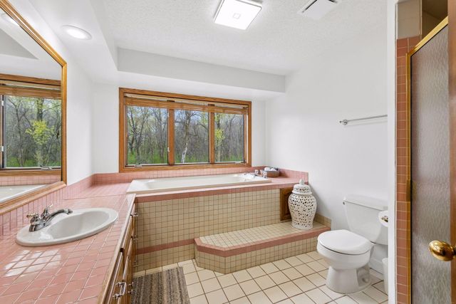 725 Dickey Lake Drive, Long Lake, MN 55356
