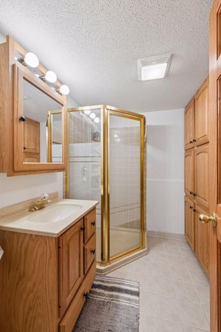 725 Dickey Lake Drive, Long Lake, MN 55356