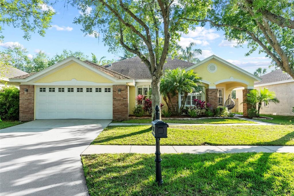 10602 ROCHESTER WAY, Tampa, FL 33626