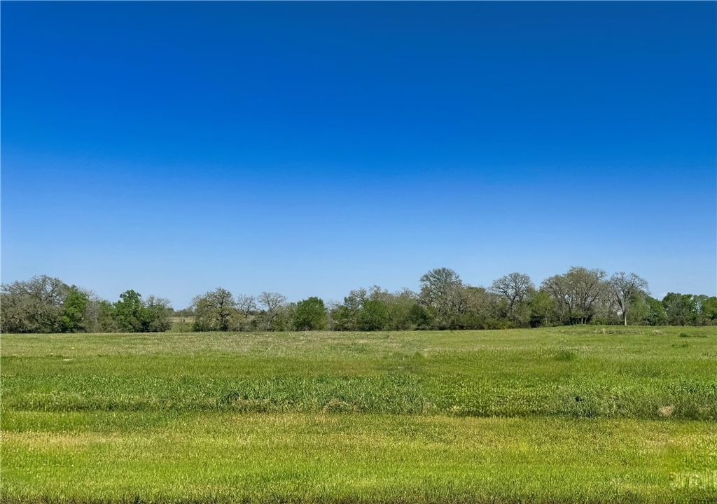 10094 Panther Creek Drive, Iola, TX 77861 — exterior