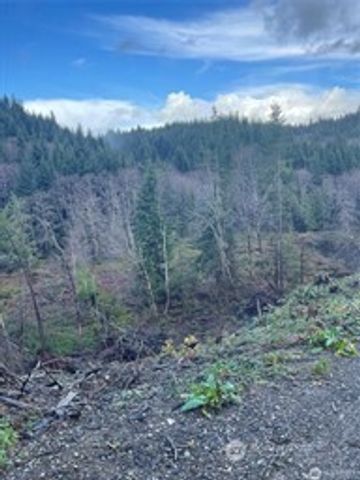 0 South Bend Palix Rd, South Bend, WA 98586