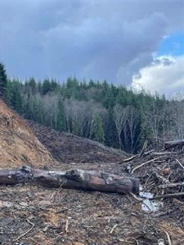 0 South Bend Palix Rd, South Bend, WA 98586