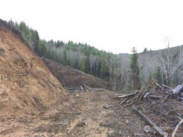 0 South Bend Palix Rd, South Bend, WA 98586