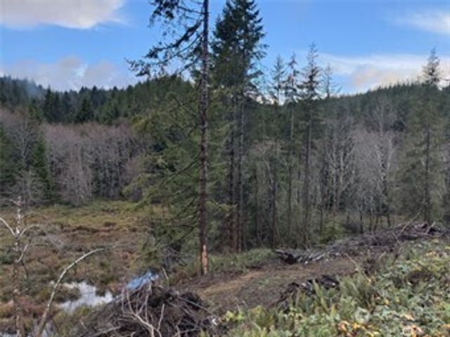 0 South Bend Palix Rd, South Bend, WA 98586