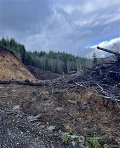 0 South Bend Palix Rd, South Bend, WA 98586