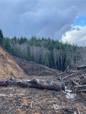 0 South Bend Palix Rd, South Bend, WA 98586