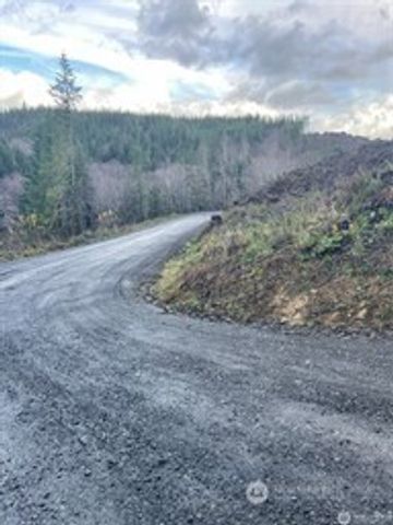 0 South Bend Palix Rd, South Bend, WA 98586