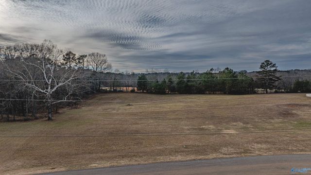 730 Davis Road, Rogersville, AL 35652