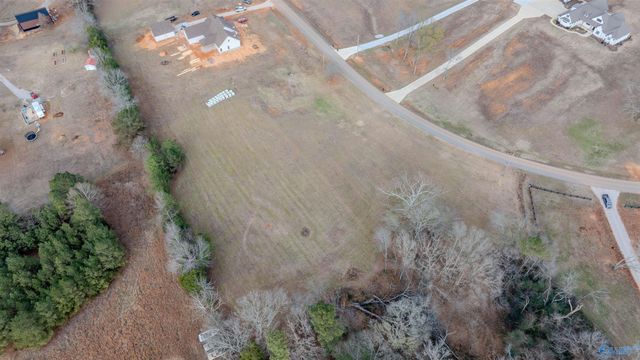 730 Davis Road, Rogersville, AL 35652