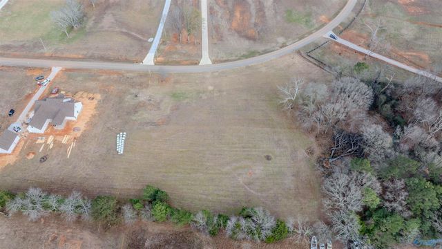 730 Davis Road, Rogersville, AL 35652